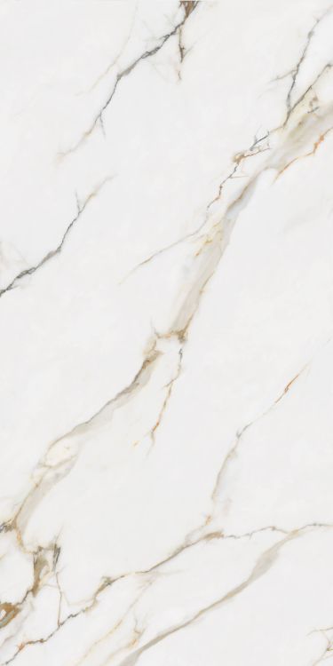 Time Dorado Matte 24 x 48